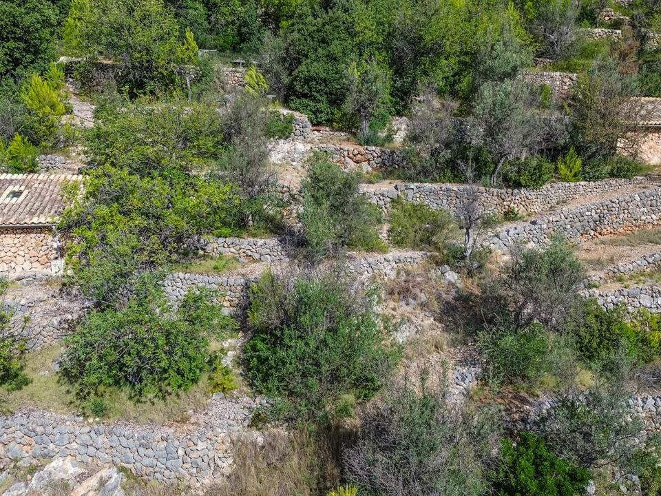 Landejendom i Fornalutx, Mallorca - foto 2