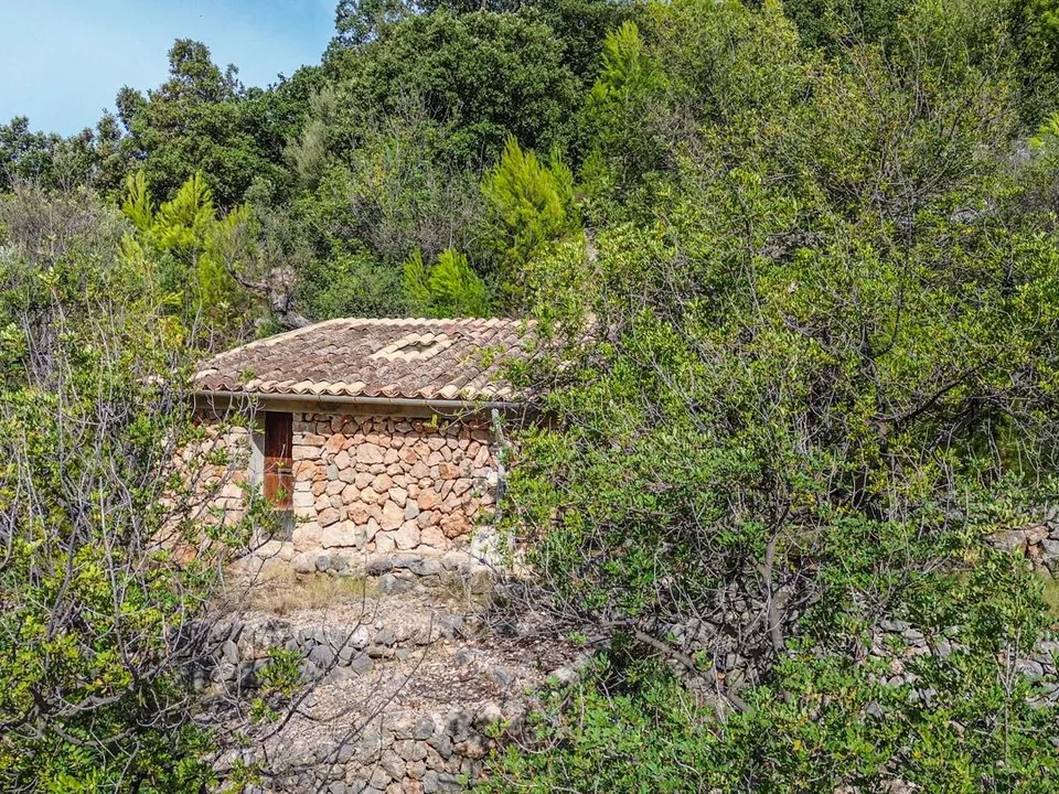 Landejendom i Fornalutx, Mallorca - foto 3