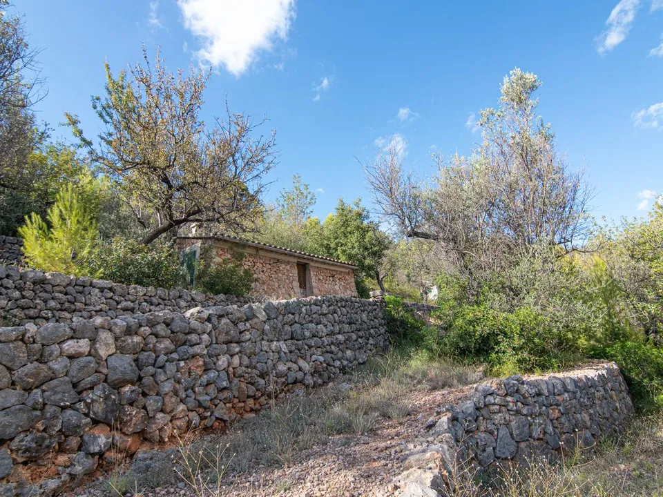 Landejendom i Fornalutx, Mallorca - foto 5