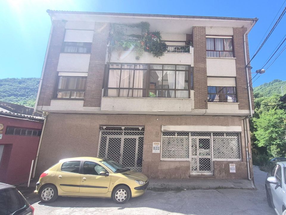 Propiedad comercial en Mieres, Asturias - foto 1