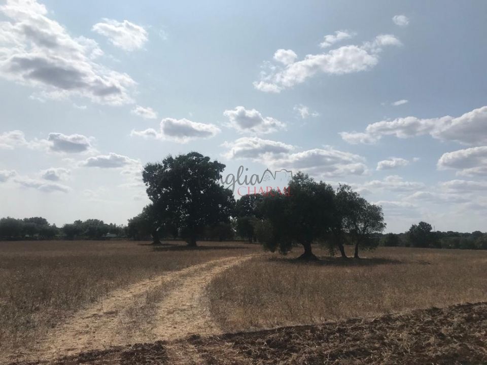 Landejendom i Ostuni, Brindisi - foto 4