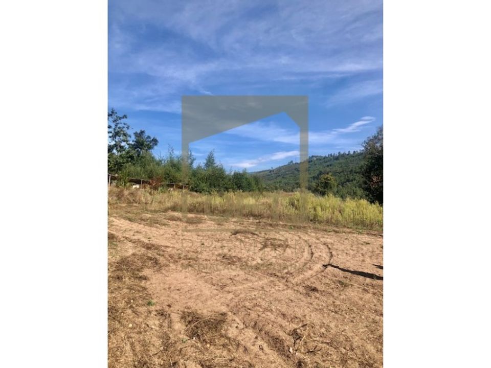 Farm i Cabeceiras de Basto, Braga - foto 3