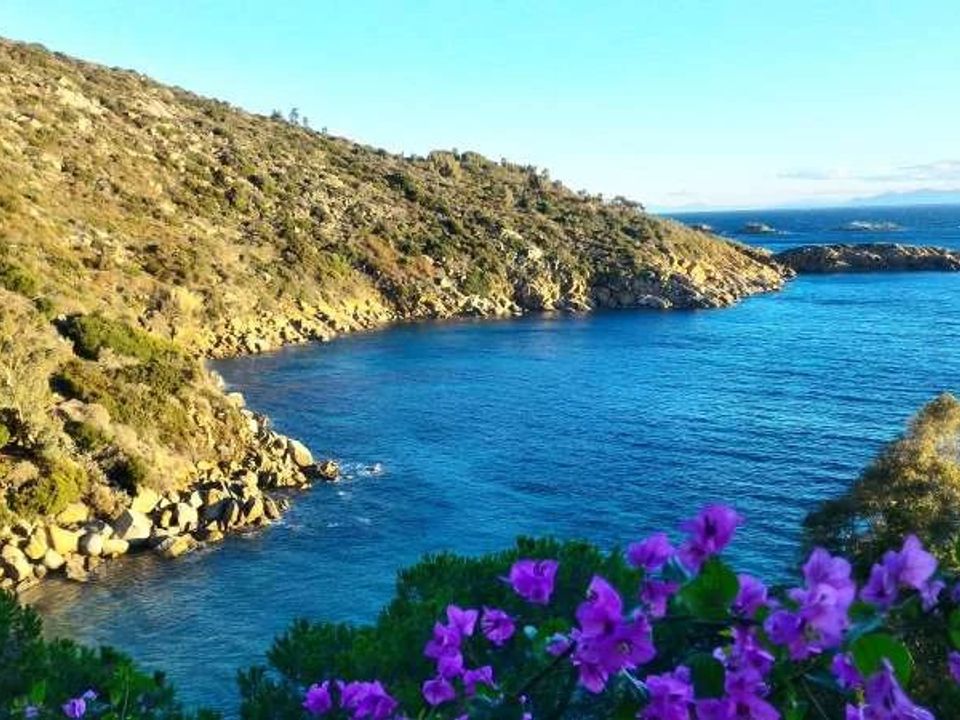 Villa i Isola Del Giglio, Grosseto - foto 2