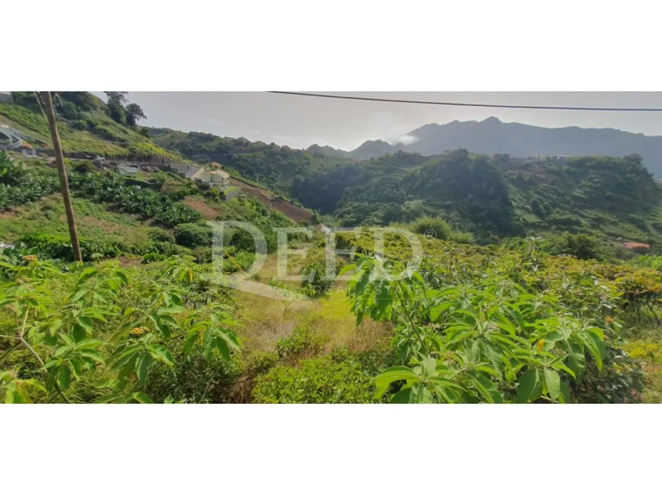 Helårsgrund i Machico, Madeira - foto 3