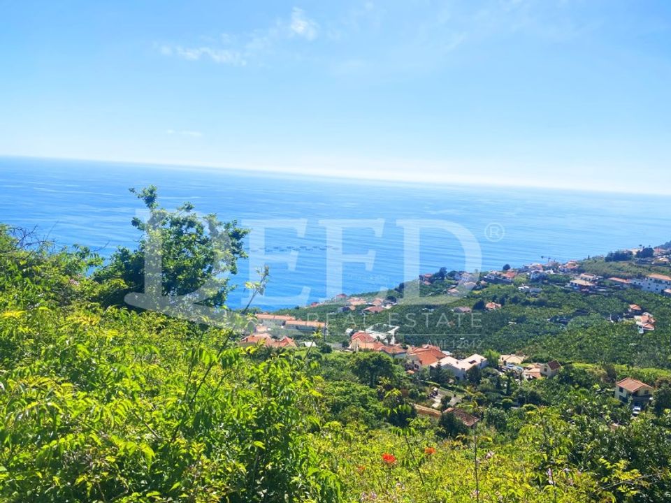 Villa i Arco da Calheta, Madeira - foto 4