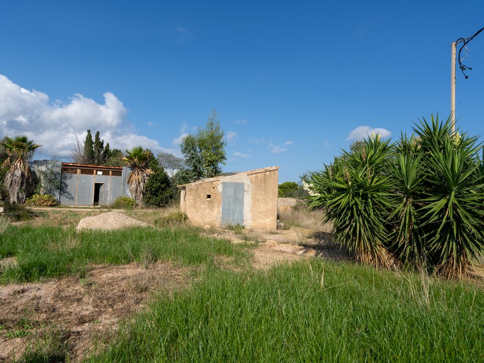 Helårsgrund i Amposta, Tarragona - foto 3