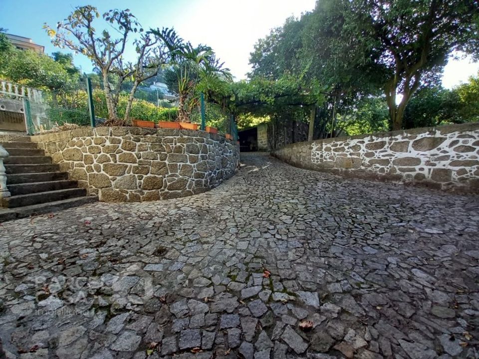 Farm i Curvos, Braga - foto 5