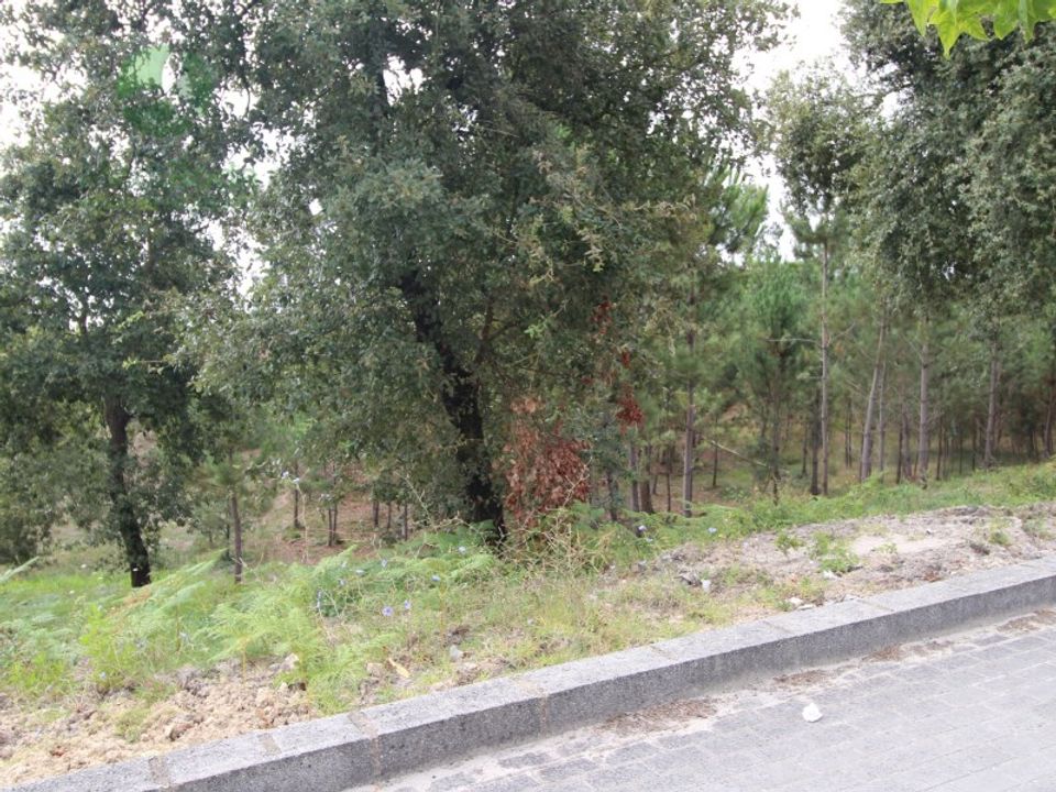 Tomt i Boa Vista, Leiria - bilde 1