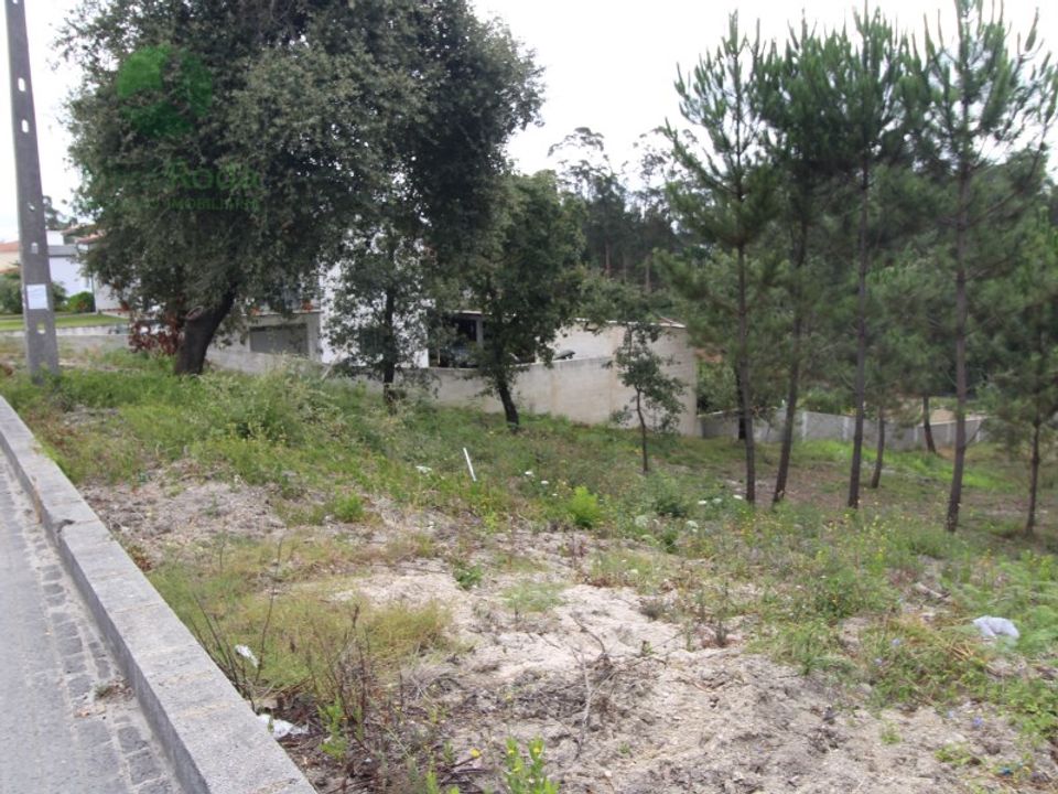 Tomt i Boa Vista, Leiria - bilde 3