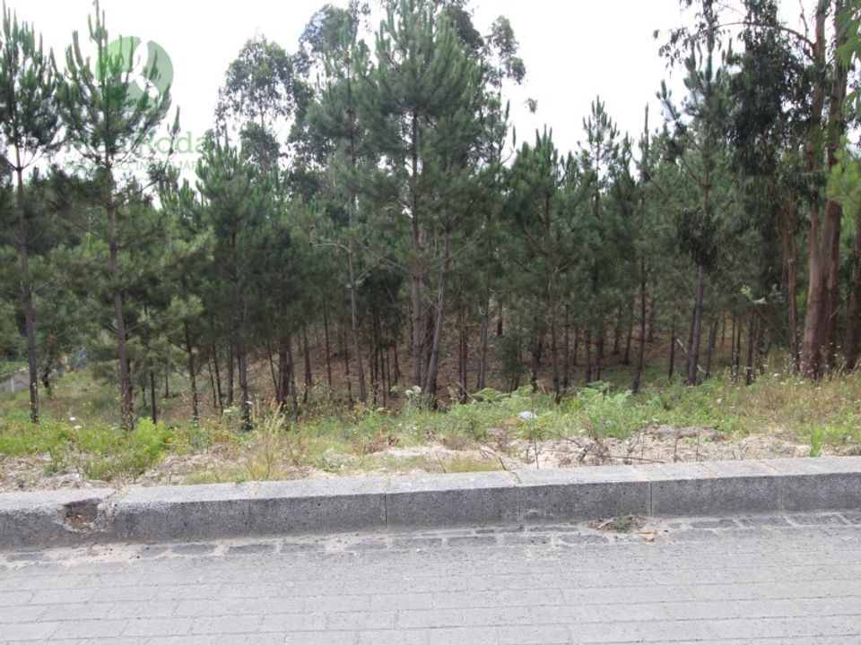 Tomt i Boa Vista, Leiria - bilde 5