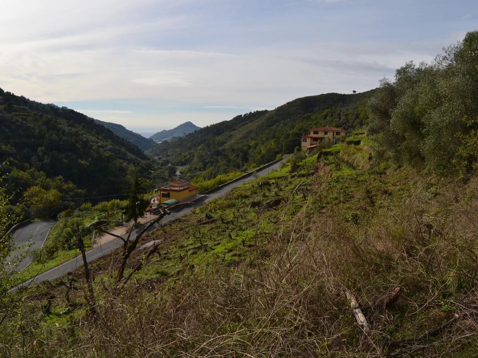 Terra em Perinaldo, Imperia - foto 2