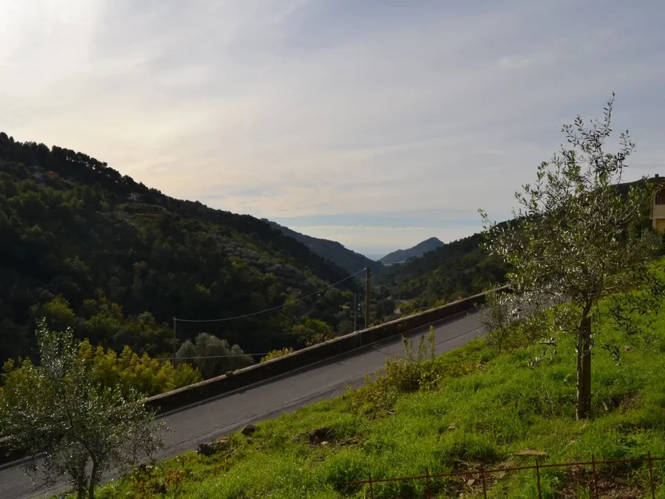 Terra em Perinaldo, Imperia - foto 3
