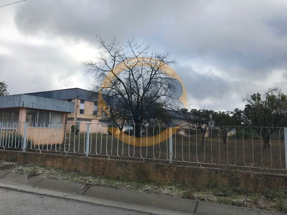 Erhvervsejendom i Agueda, Aveiro - foto 5