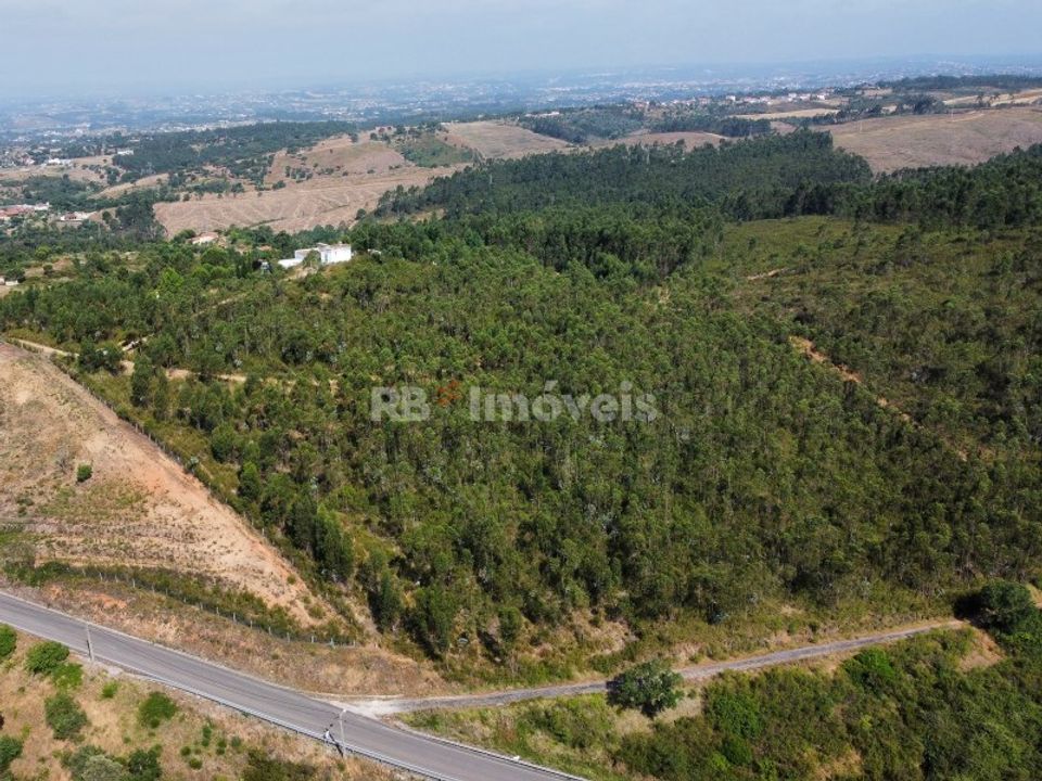 Helårsgrund i Tomar, Santarem - foto 1