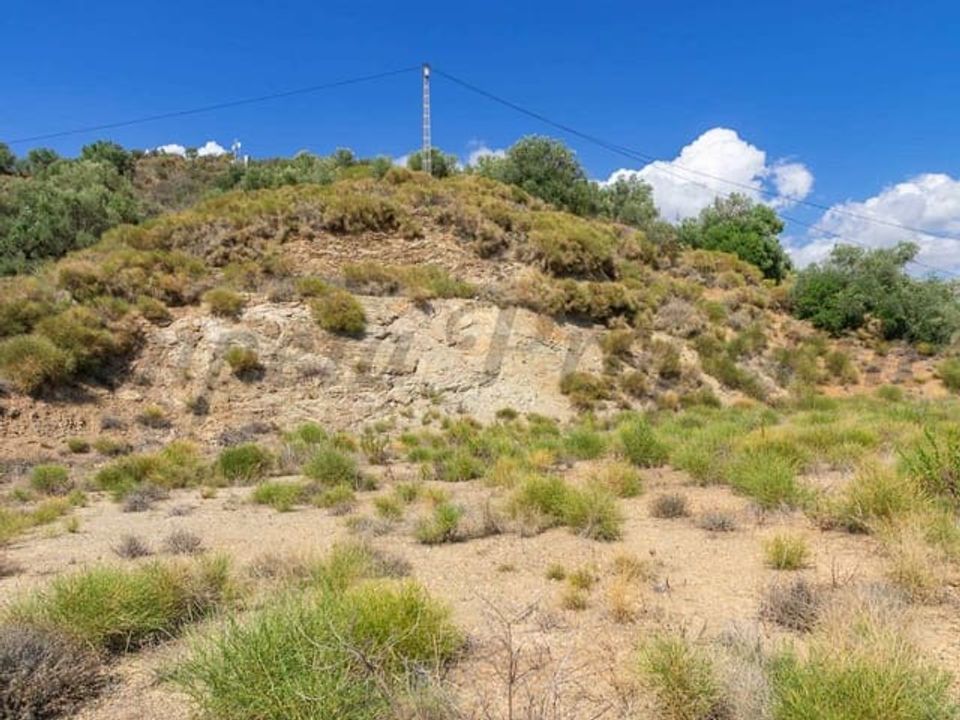 Helårsgrund i Canillas De Albaida, Malaga - foto 5