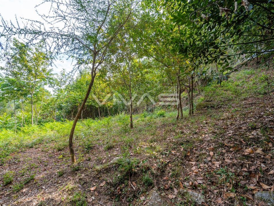 Helårsgrund i Vila Verde, Braga - foto 4