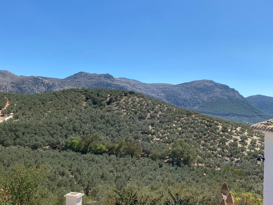 Landejendom i Villanueva Del Trabuco, Malaga - foto 5
