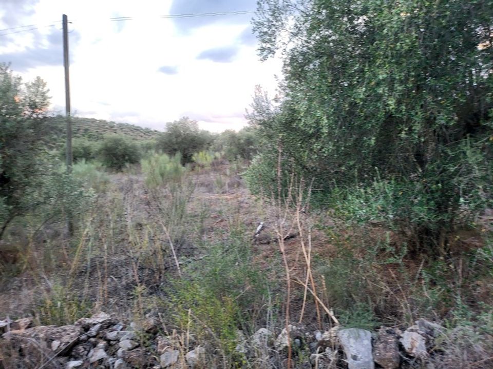 Helårsgrund i Terrugem e Vila Boim, Portalegre - foto 1