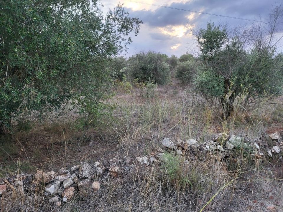 Helårsgrund i Terrugem e Vila Boim, Portalegre - foto 3