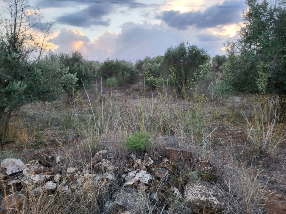Helårsgrund i Terrugem e Vila Boim, Portalegre - foto 4