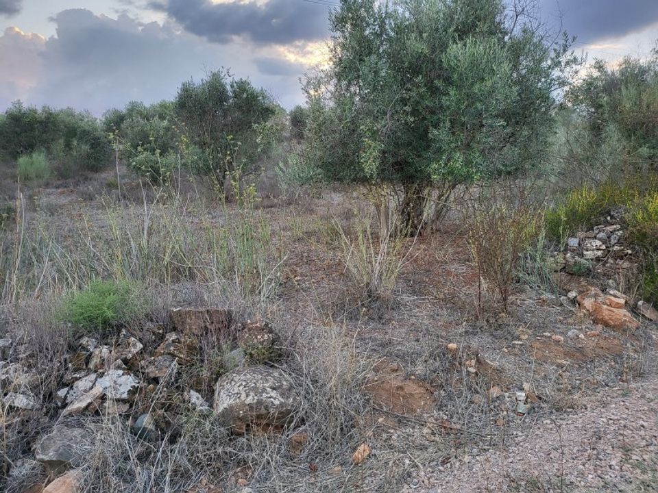Helårsgrund i Terrugem e Vila Boim, Portalegre - foto 5