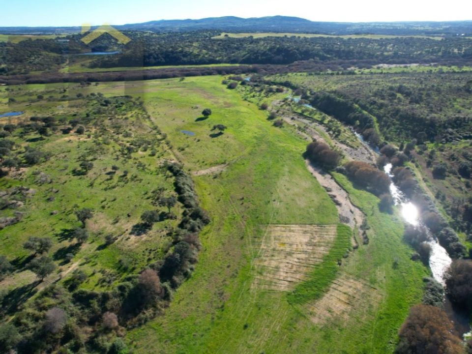 Gård i Escalos de Baixo, Castelo Branco - bilde 5