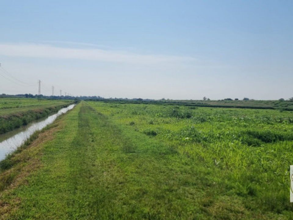Helårsgrund i Loreo, Rovigo - foto 1