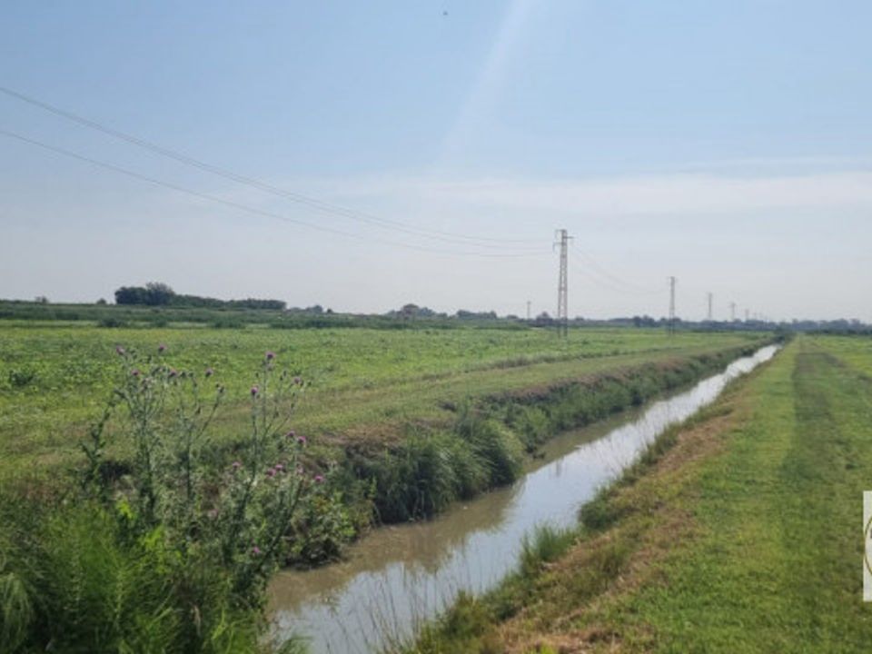 Helårsgrund i Loreo, Rovigo - foto 2