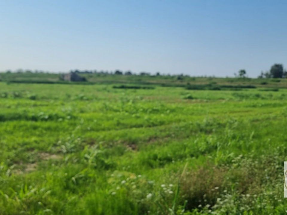 Helårsgrund i Loreo, Rovigo - foto 3