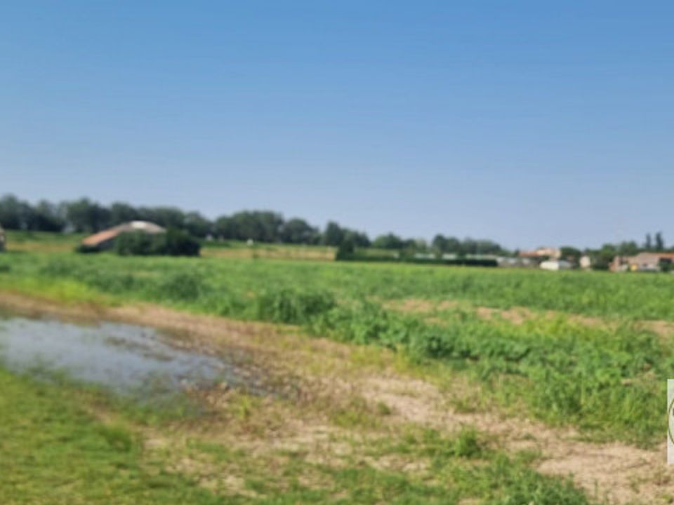 Helårsgrund i Loreo, Rovigo - foto 5