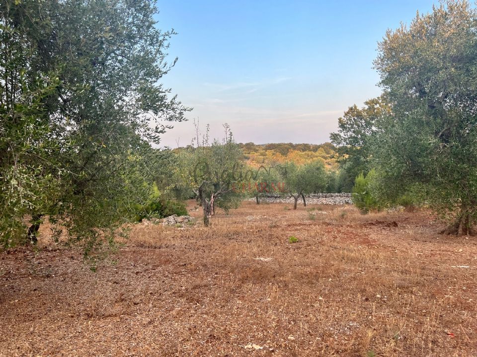 Helårsgrund i Ostuni, Brindisi - foto 5