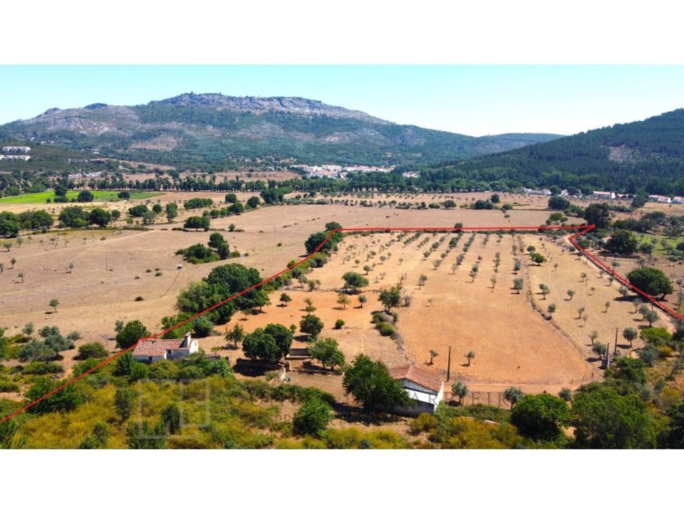 Farm i Marvao, Portalegre - foto 5