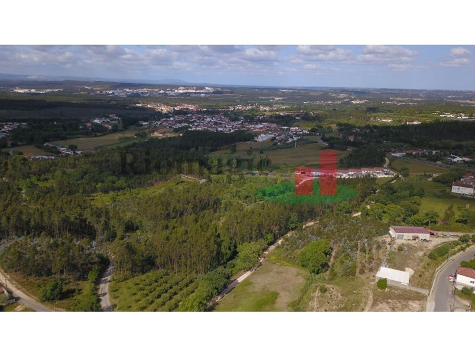 Tomt i Asseiceira, Santarem - bilde 3