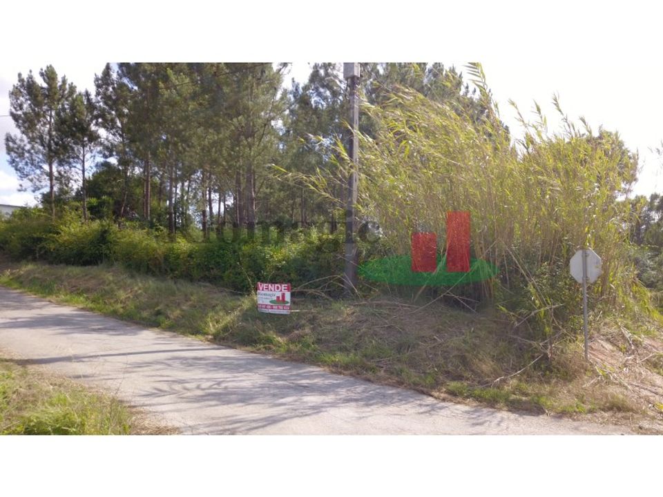Tomt i Asseiceira, Santarem - bilde 5