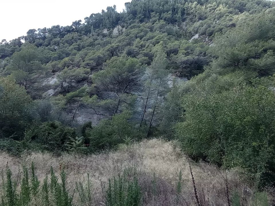 Helårsgrund i L'Escarène, Alpes-Maritimes - foto 4