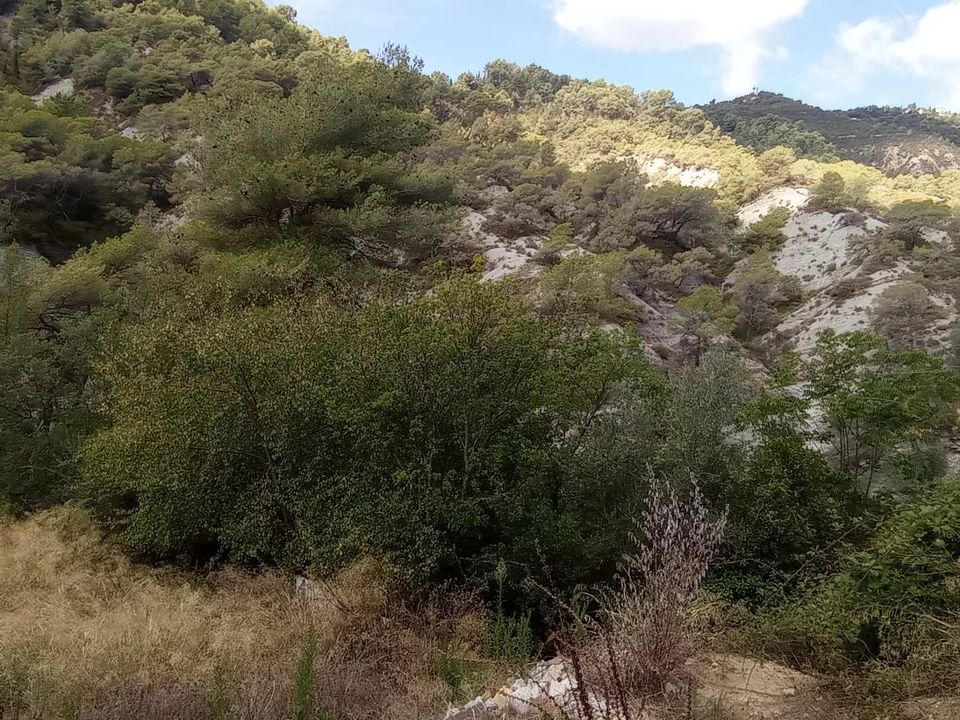 Helårsgrund i L'Escarène, Alpes-Maritimes - foto 5