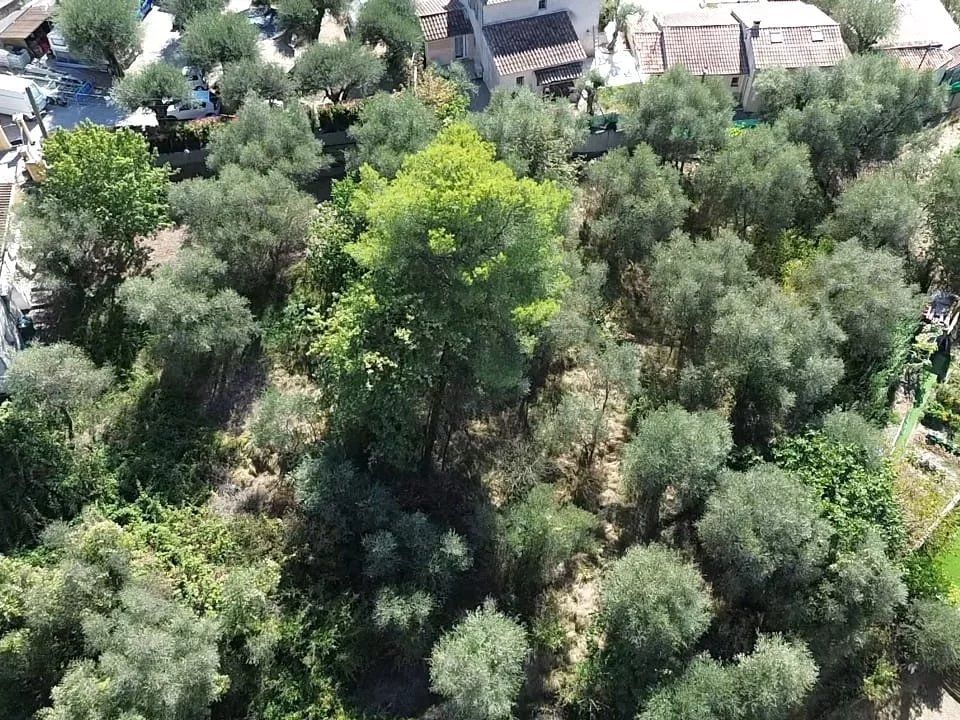 Helårsgrund i Peille, Alpes-Maritimes - foto 1