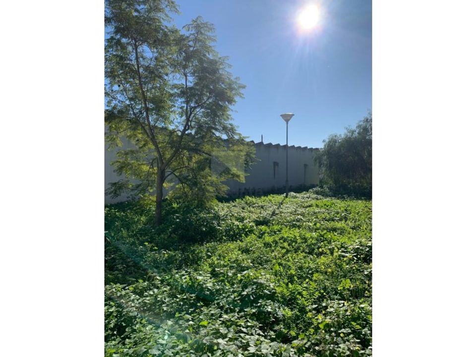 Helårsgrund i Montijo, Setubal - foto 1