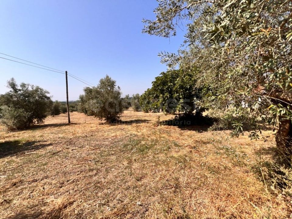 Helårsgrund i Olaia e Paco, Santarem - foto 3