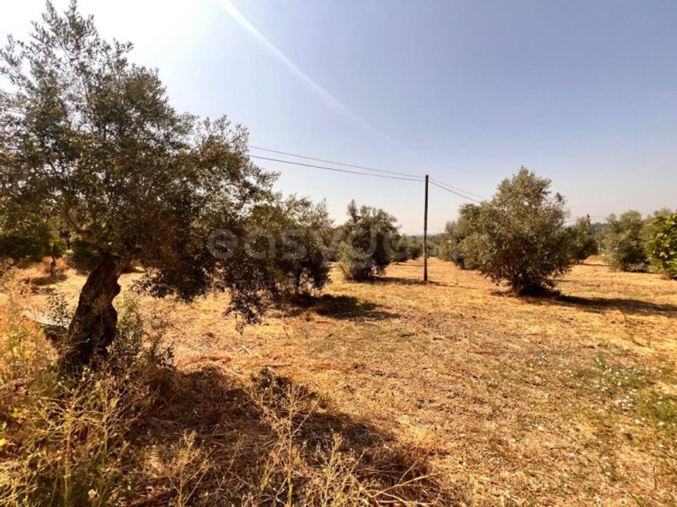 Helårsgrund i Olaia e Paco, Santarem - foto 4