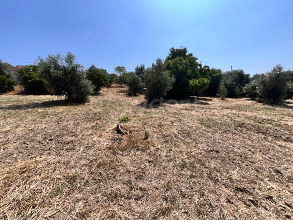 Helårsgrund i Olaia e Paco, Santarem - foto 1