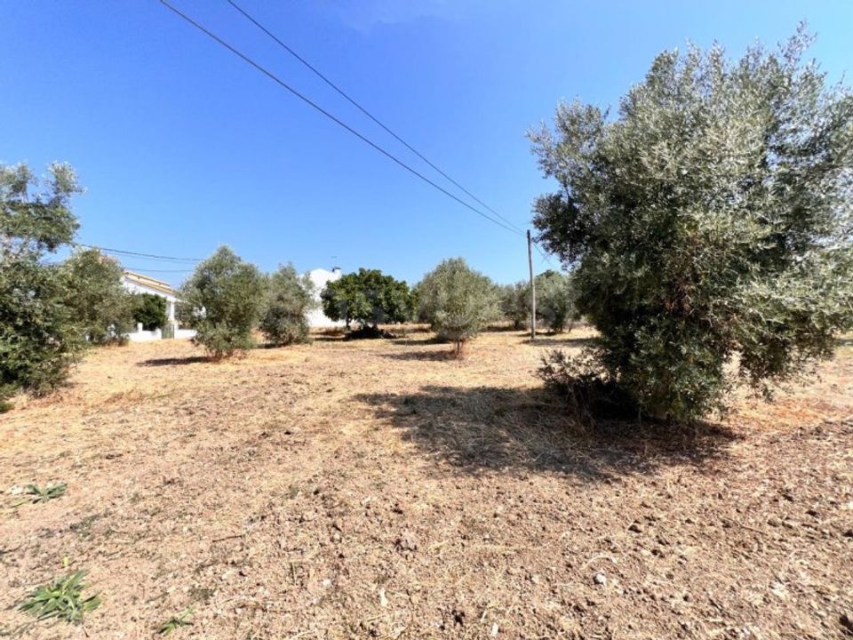 Helårsgrund i Olaia e Paco, Santarem - foto 3