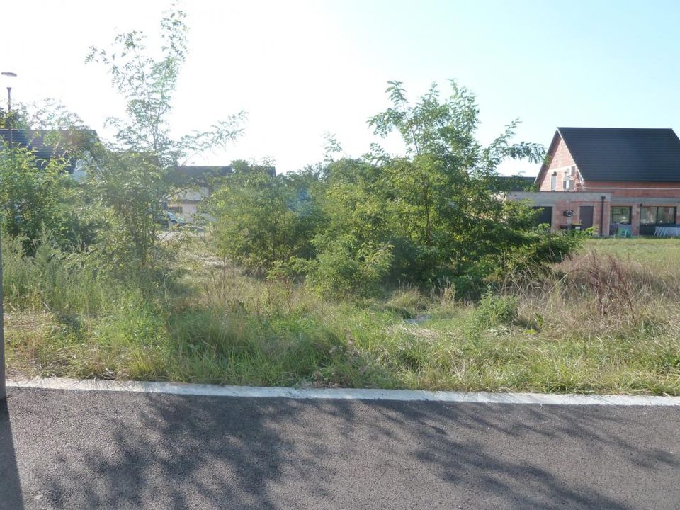 Helårsgrund i Dauendorf, Bas-Rhin - foto 1