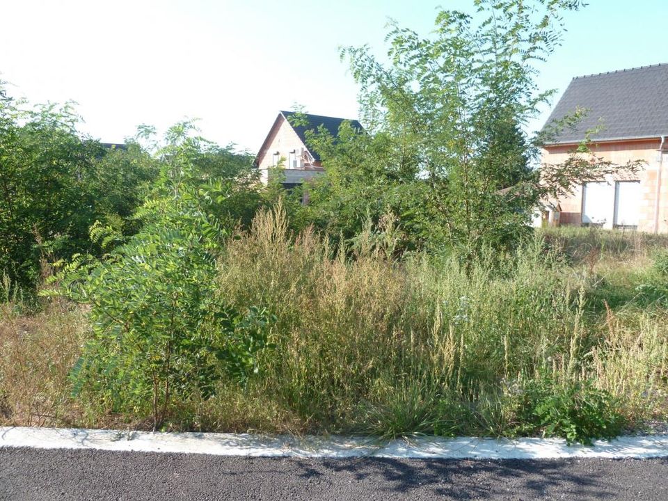 Helårsgrund i Dauendorf, Bas-Rhin - foto 2