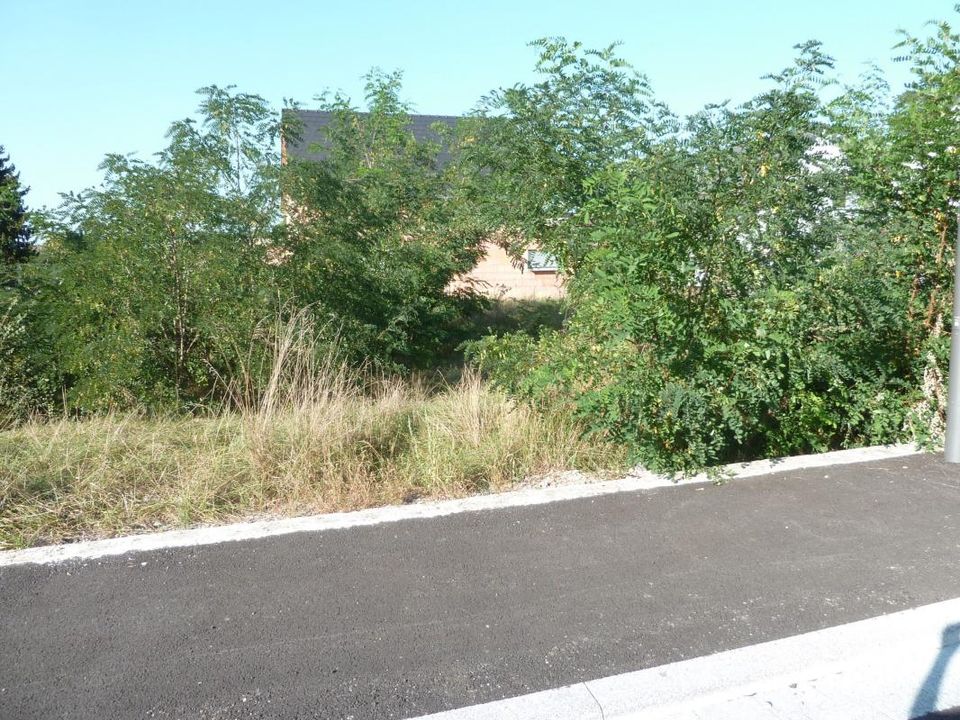 Helårsgrund i Dauendorf, Bas-Rhin - foto 3