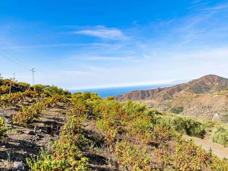 Villa i Torrox, Malaga - foto 3