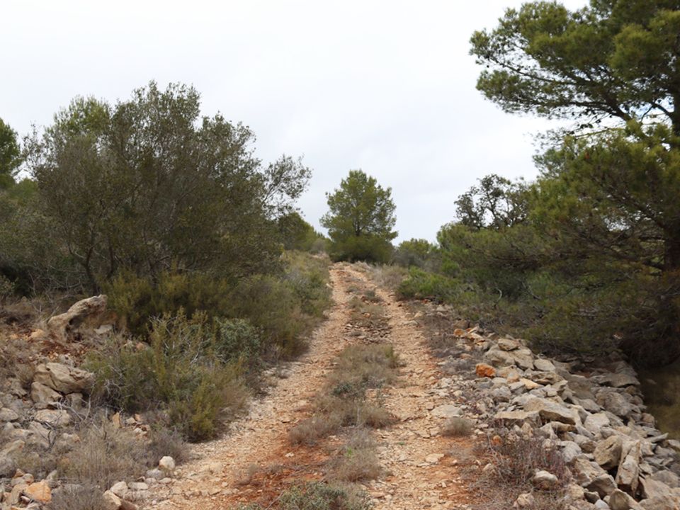 Helårsgrund i Jalon, Alicante - foto 2