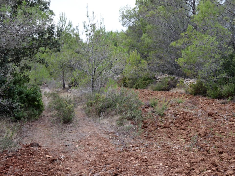 Helårsgrund i Jalon, Alicante - foto 3