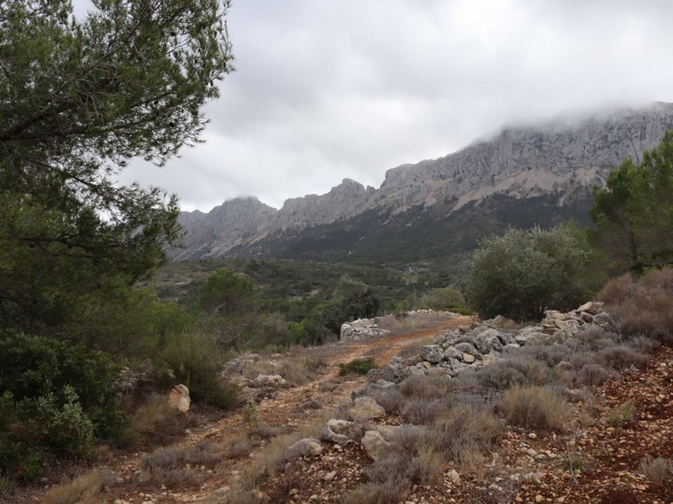 Helårsgrund i Jalon, Alicante - foto 4