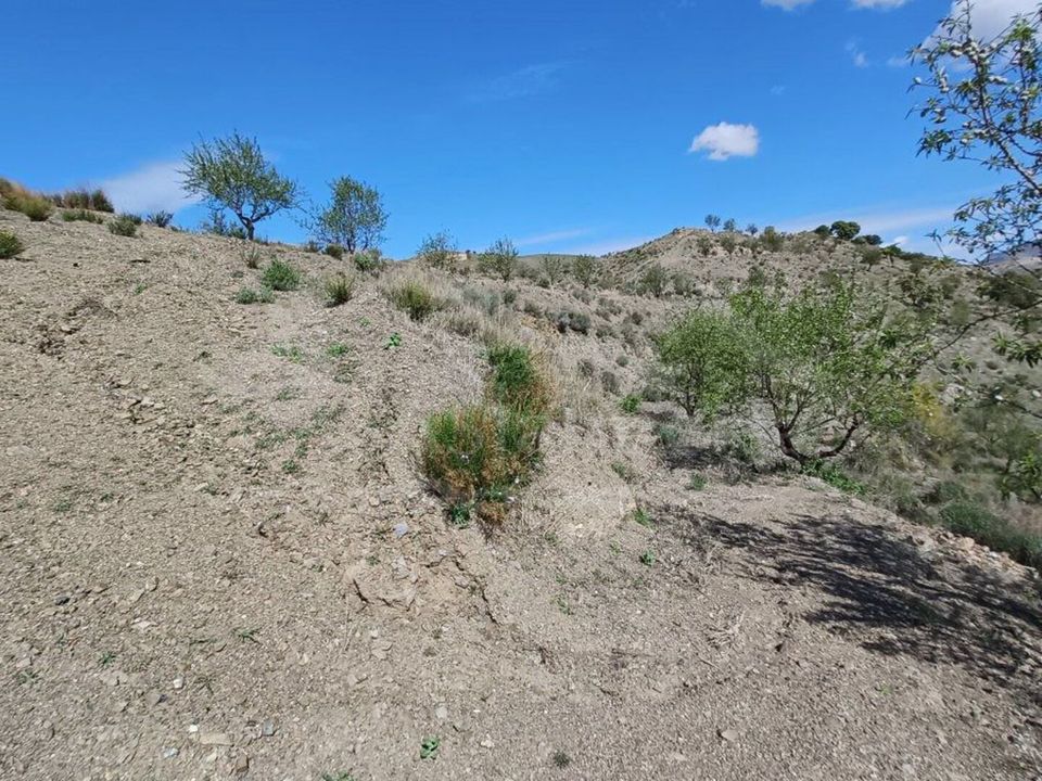 Helårsgrund i Taberno, Almeria - foto 3
